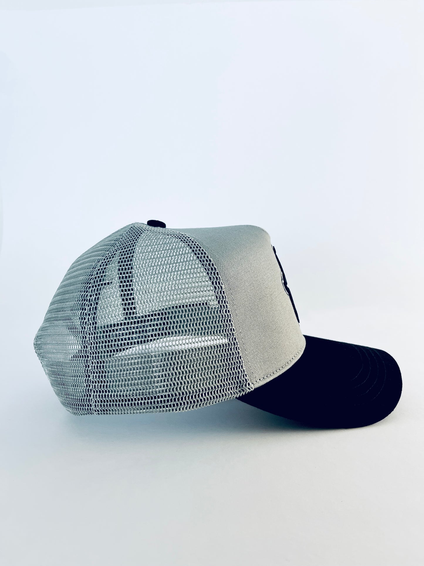 Silver Top Curve Brim Radley Trucker