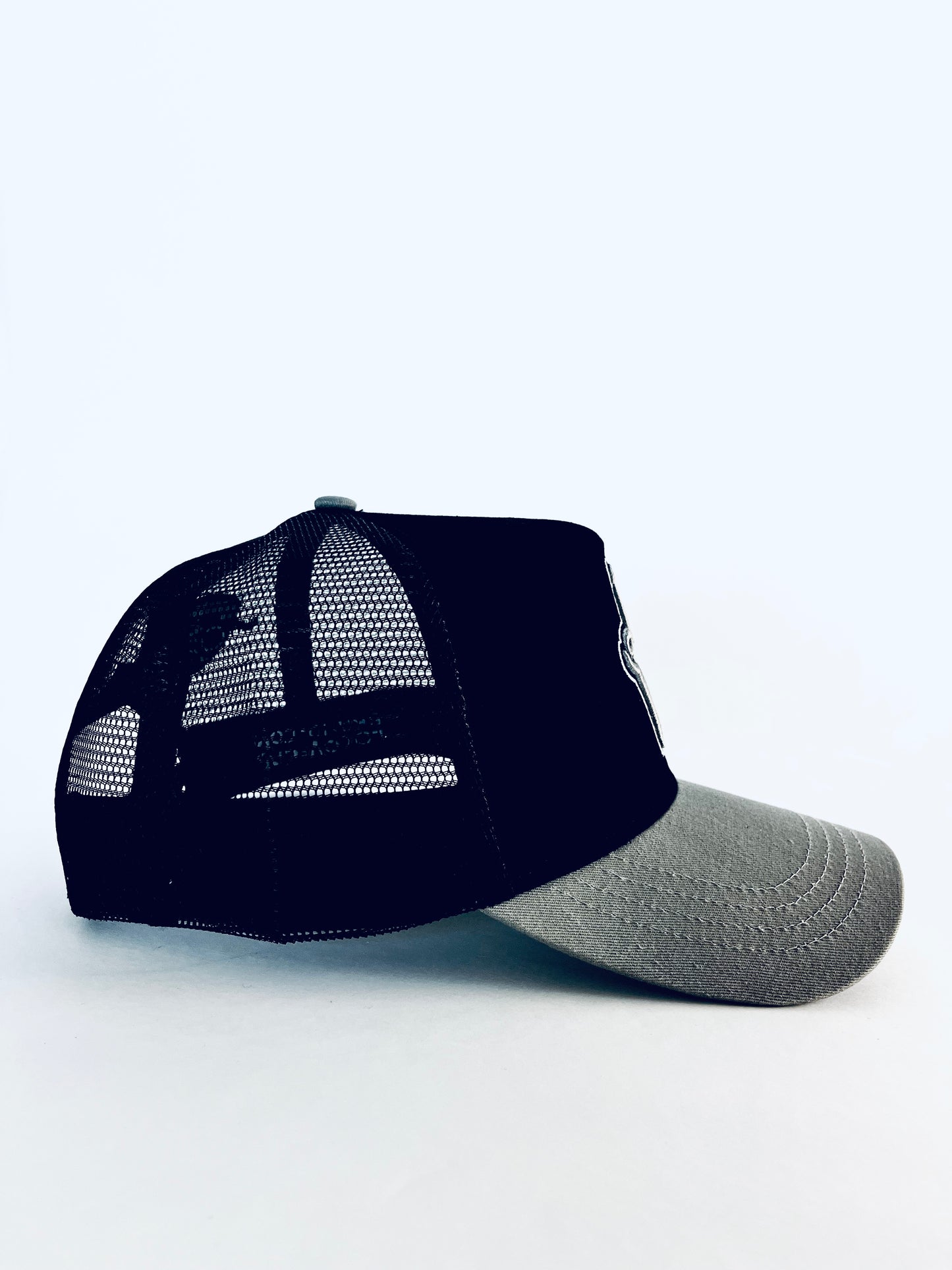 Silver/Black Curve Brim Radley Trucker